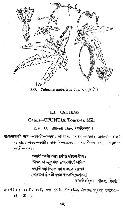 ভারতীয় বনৌষধি (সচিত্র): Indian Herbal Medicine Illustrated (Set of 6 Volumes)