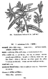 ভারতীয় বনৌষধি (সচিত্র): Indian Herbal Medicine Illustrated (Set of 6 Volumes)