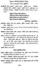 ভারতীয় বনৌষধি (সচিত্র): Indian Herbal Medicine Illustrated (Set of 6 Volumes)