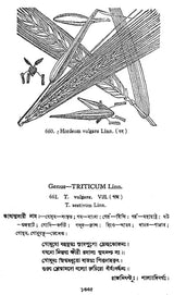 ভারতীয় বনৌষধি (সচিত্র): Indian Herbal Medicine Illustrated (Set of 6 Volumes)