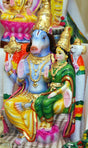 Hayagreeva Homam for Memory, Concentration, and Success in Studies - Retail Maharaj