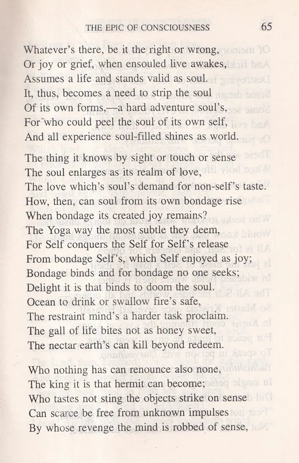 The Epic of Consciousness - Retail Maharaj