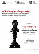 Paninian Grammar Through its Examples- Vol- I (The Book of Examples: 40,000 Entries for a Text) - Retail Maharaj