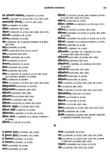 Paninian Grammar Through its Examples- Vol- I (The Book of Examples: 40,000 Entries for a Text) - Retail Maharaj
