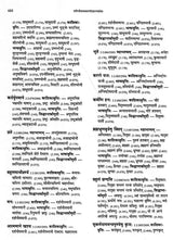 Paninian Grammar Through its Examples- Vol- I (The Book of Examples: 40,000 Entries for a Text) - Retail Maharaj