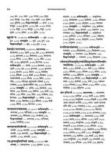 Paninian Grammar Through its Examples- Vol- I (The Book of Examples: 40,000 Entries for a Text) - Retail Maharaj