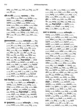 Paninian Grammar Through its Examples- Vol- I (The Book of Examples: 40,000 Entries for a Text) - Retail Maharaj