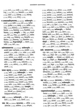 Paninian Grammar Through its Examples- Vol- I (The Book of Examples: 40,000 Entries for a Text) - Retail Maharaj
