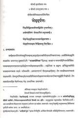 Srisaila Srinivasacharyas Bhedadarpanah - Retail Maharaj