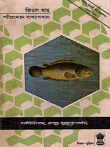 জিওল মাছ (Jiol Machh)