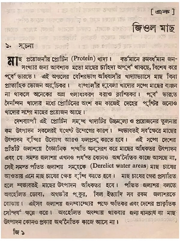 জিওল মাছ (Jiol Machh)