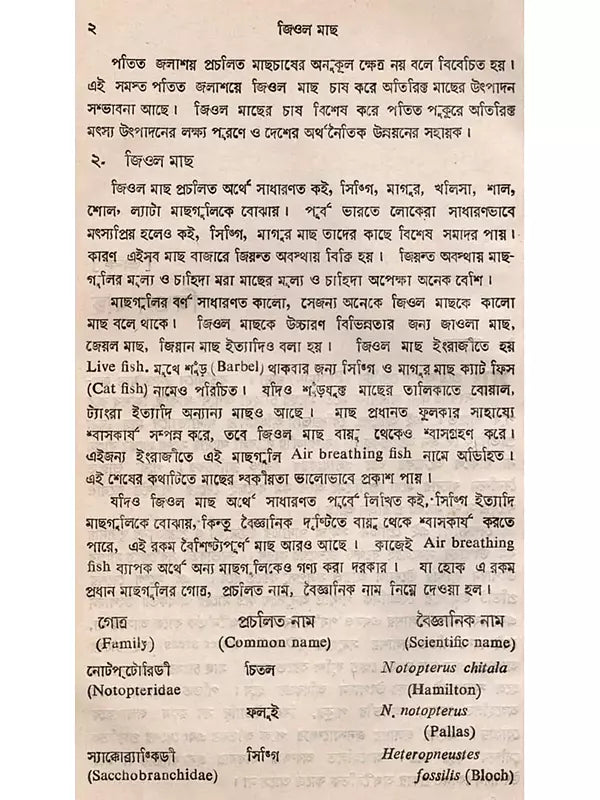 জিওল মাছ (Jiol Machh)