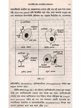 পরাগ অ্যালার্জি ও পরিবেশ: Parag Allergy o Paribesh (Bengali)