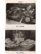মাশরুম চাষ একটি গ্রামীণ আর্থ-সামাজিক পুনরুত্থান সম্ভাবনা: Mushroom Cultivation - a Rural Socio-Economic Resurgence