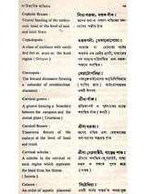 প্রাণিবিজ্ঞানের পারিভাষিক অভিধান (Glossary of Zoology)