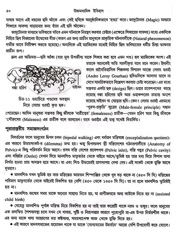 উচ্চমাধ্যমিক ইতিহাস (High School History)