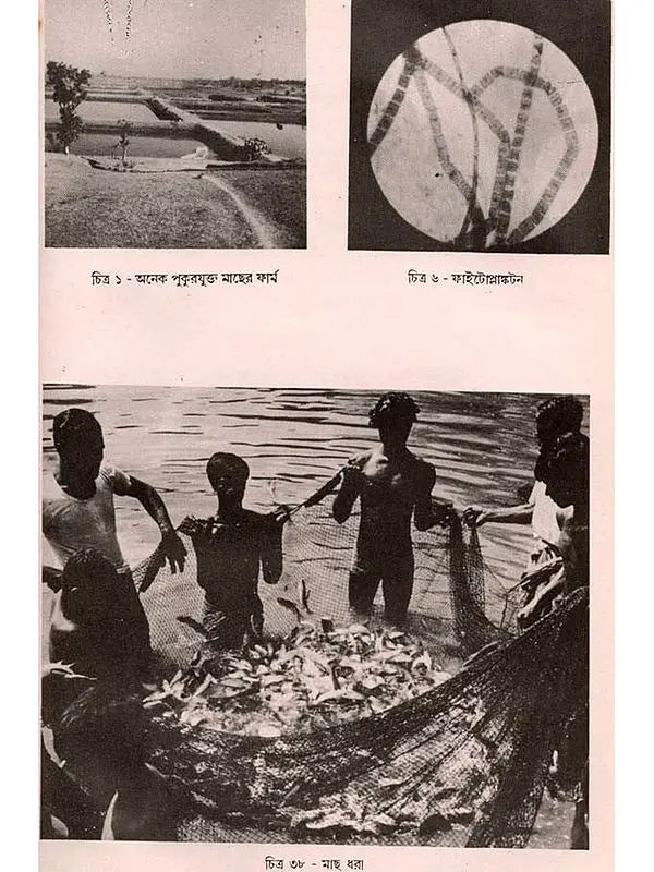 অন্তর্দেশীয় মৎস্য চাষ - পরিবর্ধিত সংস্করণ: Antardesiya Matsya Chash