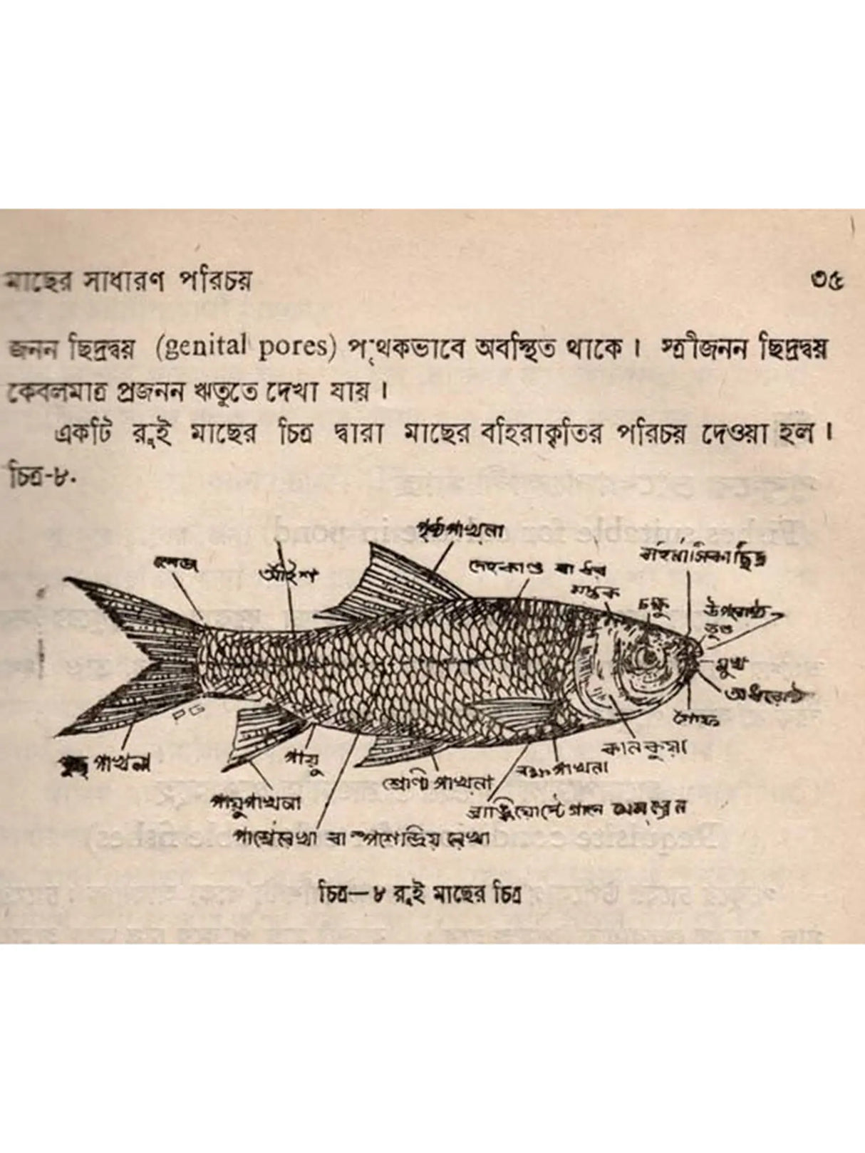 অন্তর্দেশীয় মৎস্য চাষ - পরিবর্ধিত সংস্করণ: Antardesiya Matsya Chash