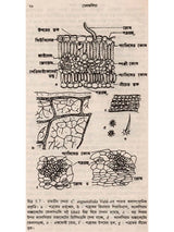 ভেষজবিদ্যা: Medicinal Plants (Bengali)