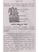 ಗ್ಯಾಸ್ಟಿಕ್ ಟ್ರಬಲ್ (ಹೊಟ್ಟೆಯಲ್ಲಿ ಅಲ್ಸರ್)- Gastric Trouble in Kannada (Stomach Ulcer) - Retail Maharaj