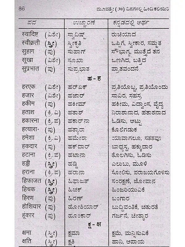 30 ದಿನಗಳಲ್ಲಿ ಹಿಂದಿ ಕಲಿಯಿರಿ: Learn Hindi in 30 Days (Learn Hindi Through Kannada) - Retail Maharaj