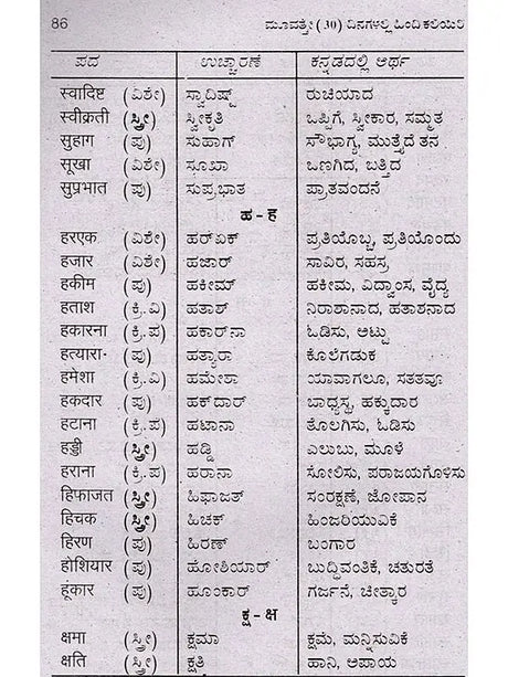 30 ದಿನಗಳಲ್ಲಿ ಹಿಂದಿ ಕಲಿಯಿರಿ: Learn Hindi in 30 Days (Learn Hindi Through Kannada) - Retail Maharaj