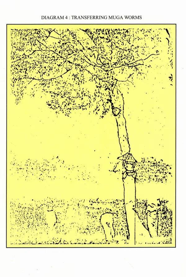 Indigenous Industries of Assam (1870-1925)