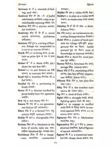 English Hindi Dictionary (More Than 20000 Words Translated from English to Hindi) - Retail Maharaj