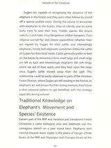 Nomads of the Himalayas (An Epic Journey to the World of Pastoral Gujjars in Rajaji's Kingdom) - Retail Maharaj