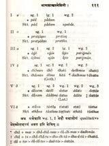 Bhasasastrapravesini - A Handbook on Comparative Philology