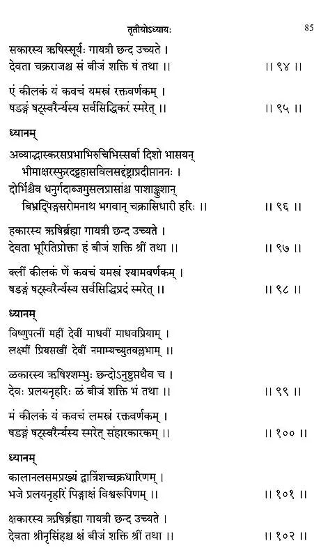 Sesa Samhita (A Pancaratra Agama Text)