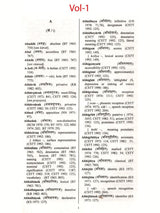 Glossary of Hindi Urdu and English Linguistic Terminology (Collection of Hindi and Urdu Linguistic Terms with Their English Equivalents) Set of 2 Volumes - Retail Maharaj