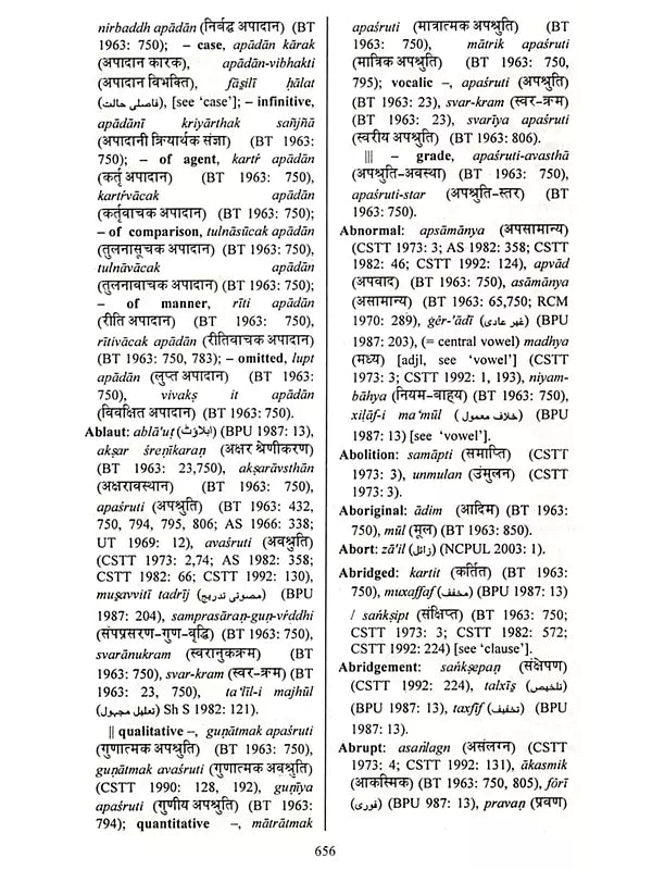 Glossary of Hindi Urdu and English Linguistic Terminology (Collection of Hindi and Urdu Linguistic Terms with Their English Equivalents) Set of 2 Volumes - Retail Maharaj