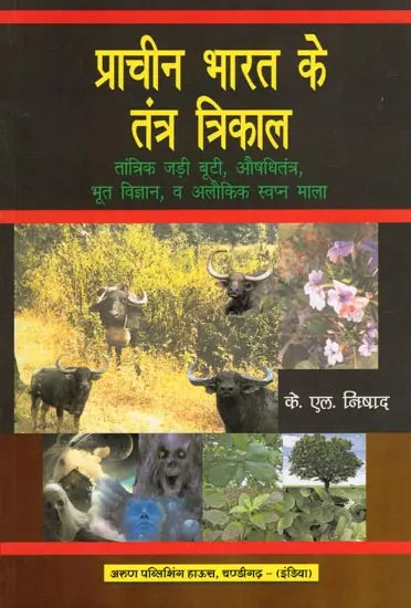 प्राचीन भारत के तंत्र त्रिकाल- Tantra Trikal of Ancient India: Tantric Herbs, Medicine, Ghost Science, and Supernatural Dream Garland - Retail Maharaj