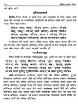 वैदिक सत्संग रश्मि Vedic Satsang Rashmi (A Collection of Yajna Episodes and Related Hymns) - Retail Maharaj