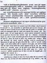 वेदार्थ-कल्पद्रुमः: The Vedarth Kalpadrumah (Set of 3 Volumes) - Retail Maharaj