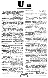 English-Urdu Urdu-English Combined Dictionary - Retail Maharaj