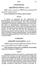Raja Yoga - Retail Maharaj