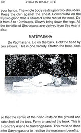 Yoga in Daily Life - Retail Maharaj