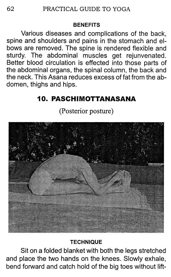 Practical Guide to Yoga - Retail Maharaj