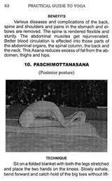 Practical Guide to Yoga - Retail Maharaj