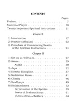 Twenty Important Spiritual Instructions: A Series of Talks Given on Gurudev's Twenty Important Spiritual Instructions - Retail Maharaj