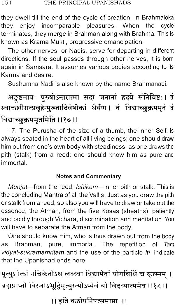 The Principal Upanishads (Isa, Kena, Katha, Prasna, Mundaka, Mandukya, Taittiriya, Aitareya and Svetasvatara Upanishads with Text, Meaning, Notes and Commentary) - Retail Maharaj