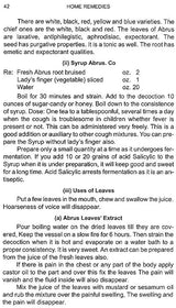 Home Remedies - Retail Maharaj