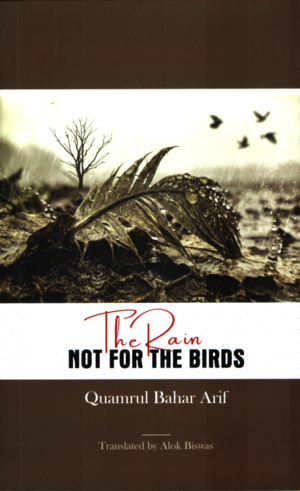The Rain, Not for the Birds