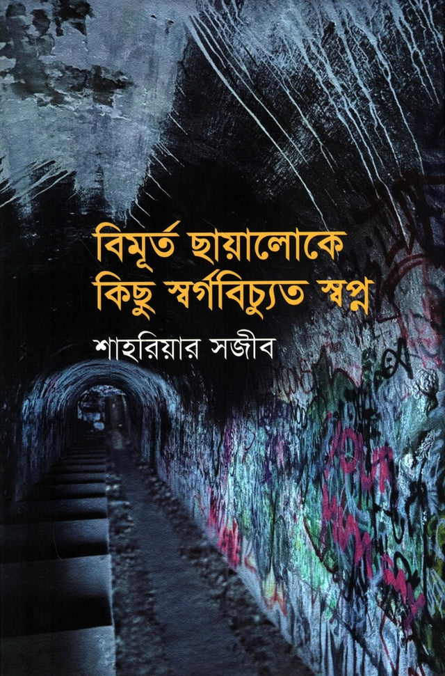 Bimurto Chhayaloke Kichu Sworgobichyut Swopno (বিমূর্ত ছায়ালোকে কিছুু স্বর্গবিচ্যুত স্বপ্ন)