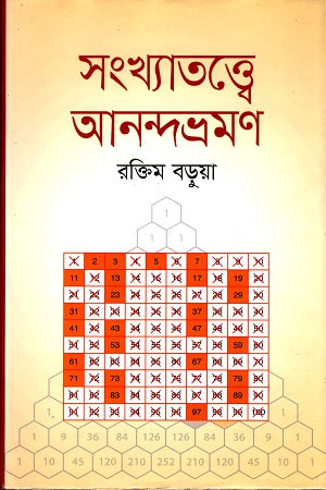 Sankhyatatwye Anondovromon (সংখ্যাতত্ত্বে আনন্দভ্রমণ)