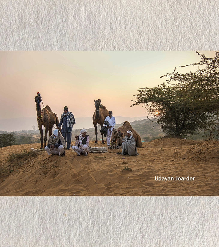 Pushkar in the Morning – The First Rays of Dawn at India’s Largest Cattle Fair - Retail Maharaj
