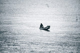 Solitude Afloat: The Quiet Rhythm of Tradition - Retail Maharaj