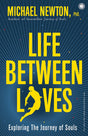 Life Between Lives - Retail Maharaj